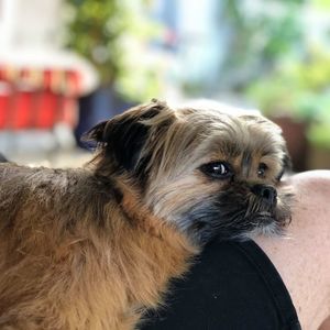 Meet your Posher, Derek